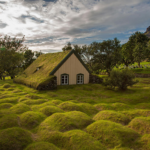 30 скандинавских домов с зелеными крышами, которые выглядят как в сказке